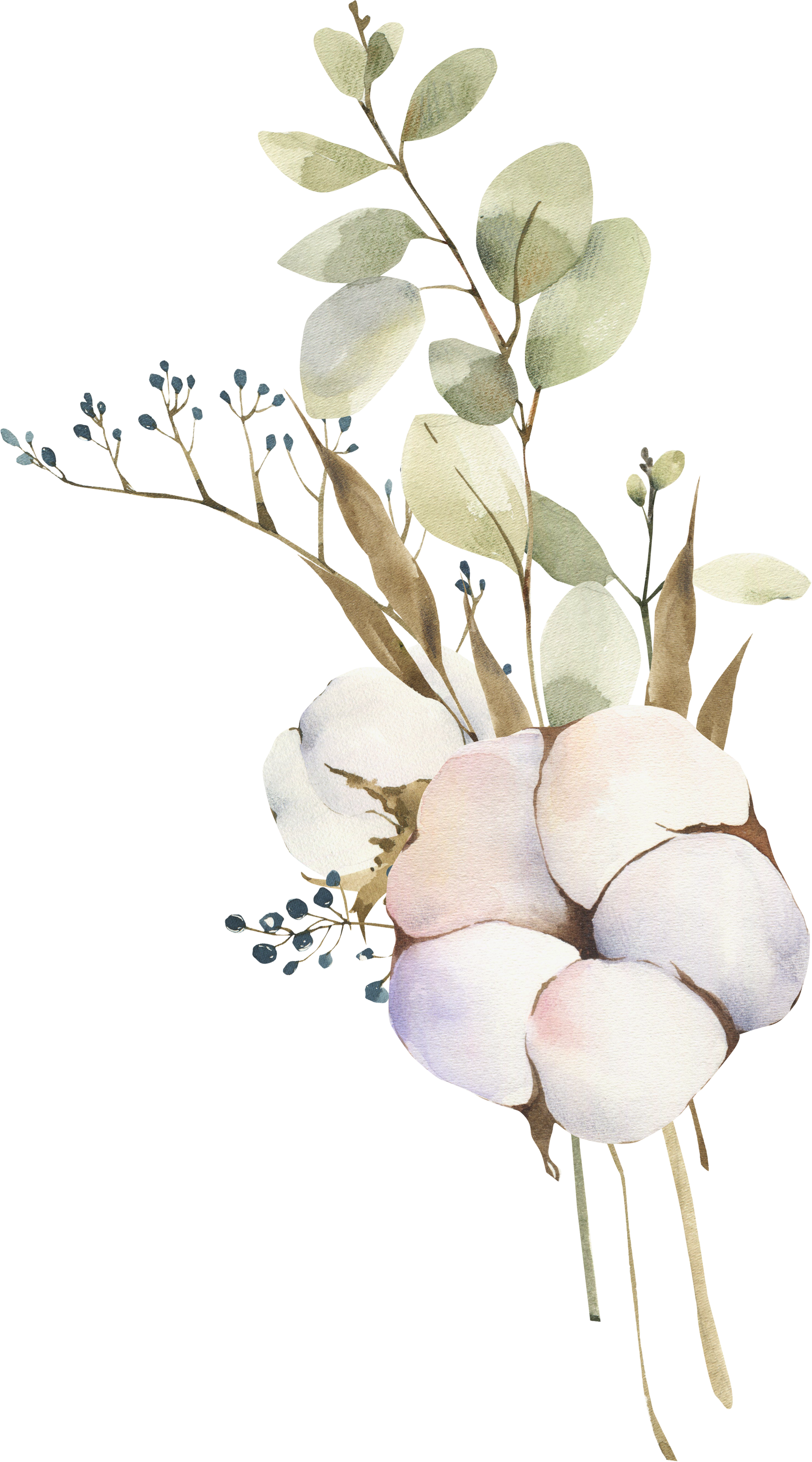 watercolor cotton bouquet